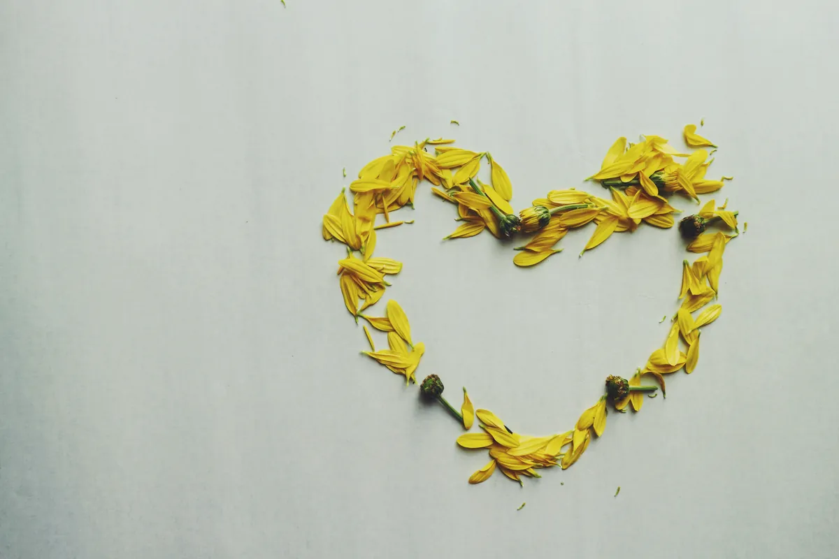 A heart made of yellow flower petals